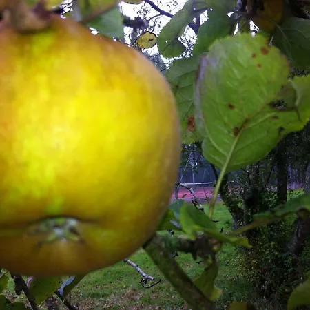 Chateau Keranno Lech-Leonec